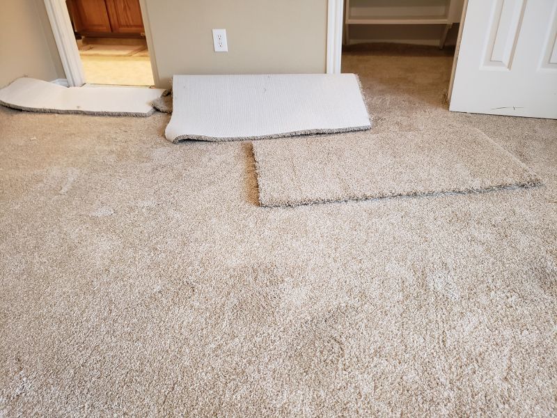 Basement Carpet Repair in Denver County, CO