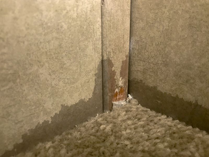 Basement Carpet Repair in Littleton, CO