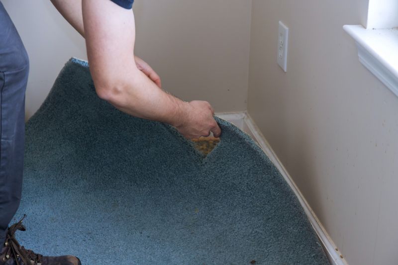 Basement Carpet Stretching in Overland Park, KS
