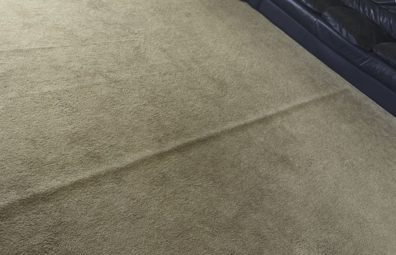 Carpet Burn Repair in Overland Park, KS