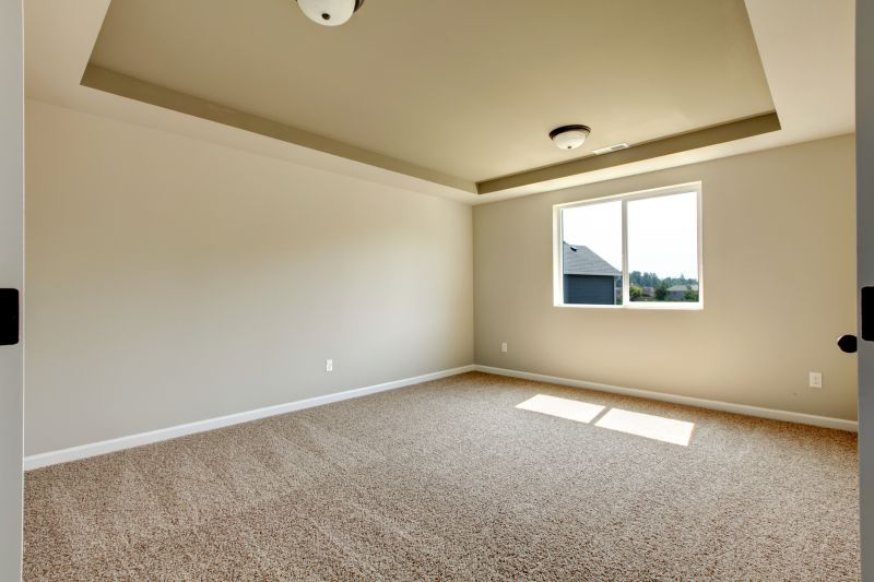 Carpet Hole Repair in Kansas City, KS