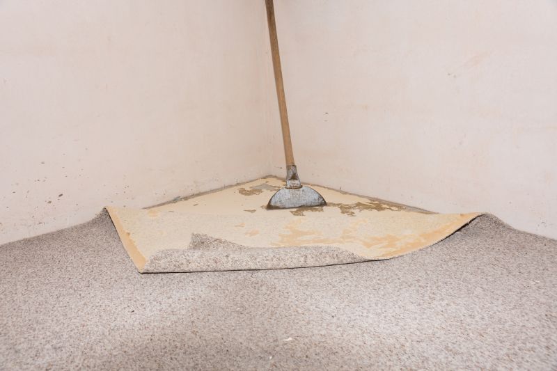 Carpet Hole Repair in Alpharetta, GA